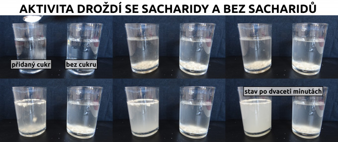 Aktivita drod
