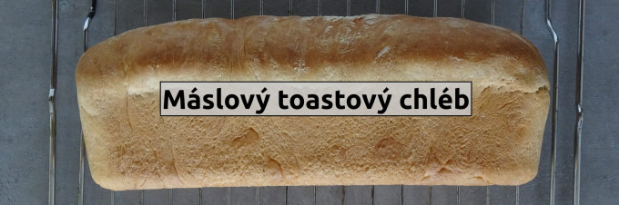 Mslov toask