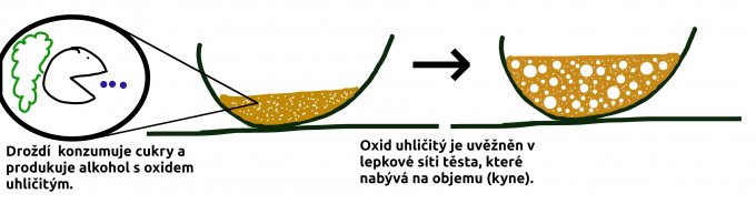 Drod - kynut